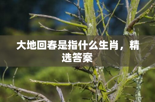 大地回春是指什么生肖，精选答案
