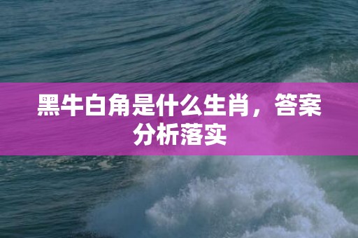 黑牛白角是什么生肖，答案分析落实