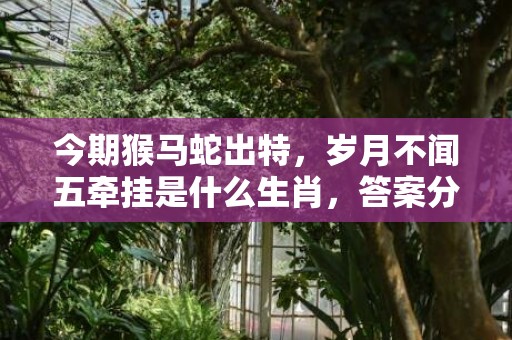 今期猴马蛇出特，岁月不闻五牵挂是什么生肖，答案分析落实