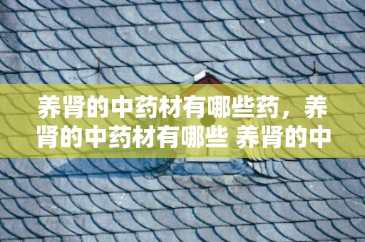 养肾的中药材有哪些药，养肾的中药材有哪些 养肾的中药配方