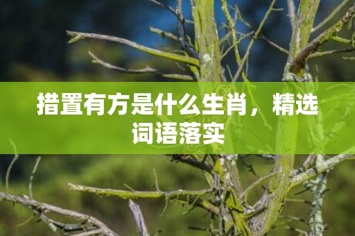 措置有方是什么生肖，精选词语落实