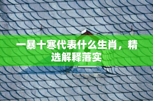 一暴十寒代表什么生肖，精选解释落实