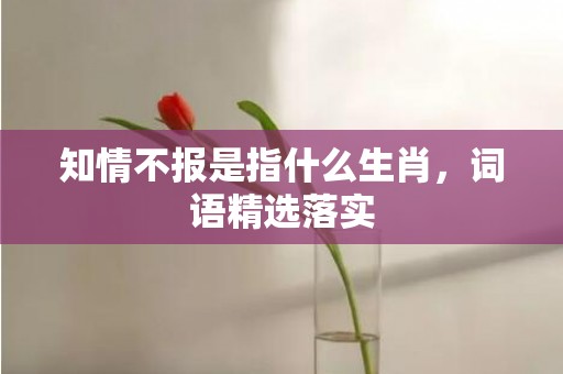 知情不报是指什么生肖，词语精选落实