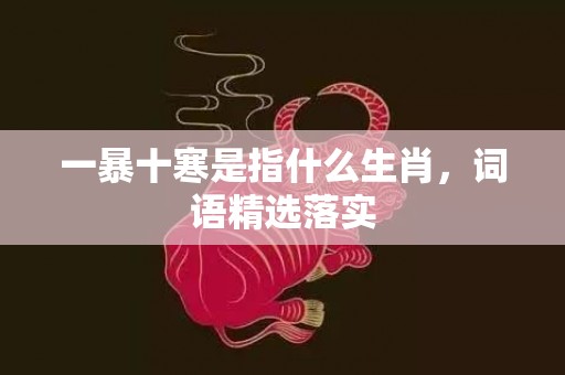 一暴十寒是指什么生肖，词语精选落实
