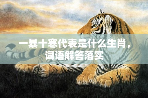 一暴十寒代表是什么生肖，词语解答落实