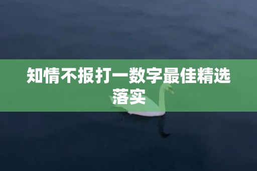 知情不报打一数字最佳精选落实