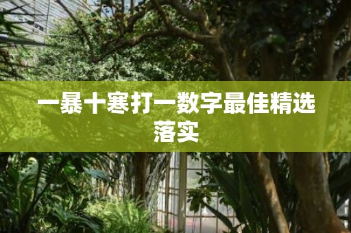 一暴十寒打一数字最佳精选落实
