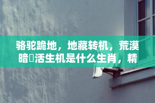 骆驼跪地，地藏转机，荒漠暗湧活生机是什么生肖，精选解释落实