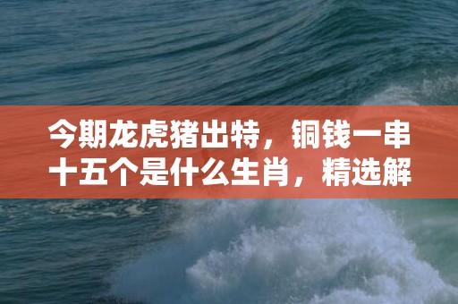今期龙虎猪出特，铜钱一串十五个是什么生肖，精选解释落实