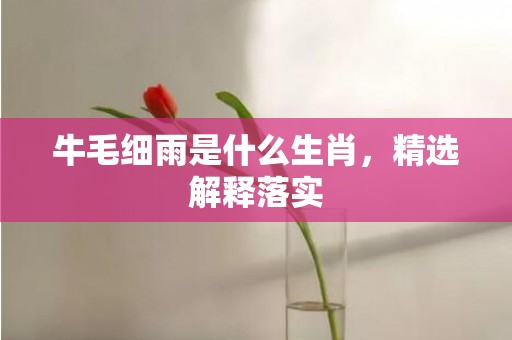 牛毛细雨是什么生肖，精选解释落实