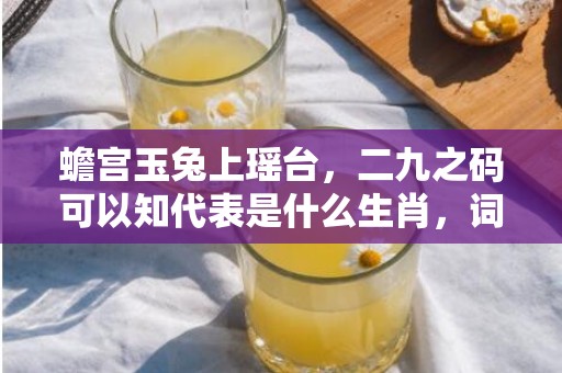 蟾宫玉兔上瑶台，二九之码可以知代表是什么生肖，词语精选落实