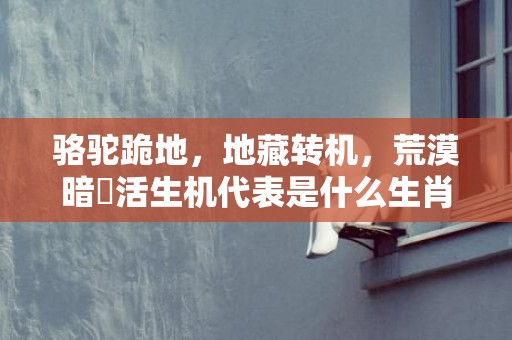骆驼跪地，地藏转机，荒漠暗湧活生机代表是什么生肖，词语精选落实