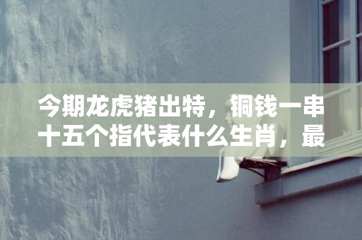 今期龙虎猪出特，铜钱一串十五个指代表什么生肖，最佳答案落实