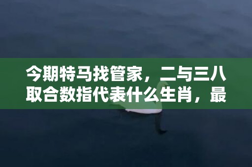 今期特马找管家，二与三八取合数指代表什么生肖，最佳答案落实