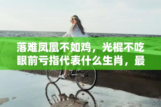 落难凤凰不如鸡，光棍不吃眼前亏指代表什么生肖，最佳答案落实