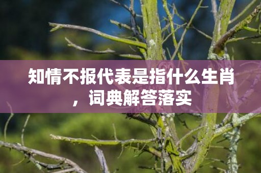 知情不报代表是指什么生肖，词典解答落实
