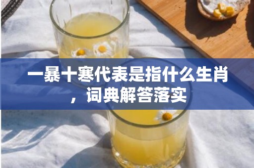 一暴十寒代表是指什么生肖，词典解答落实