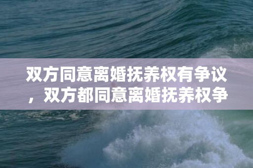 双方同意离婚抚养权有争议，双方都同意离婚抚养权争议会判吗
