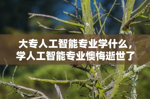 大专人工智能专业学什么，学人工智能专业懊悔逝世了 结业之后能干什么
