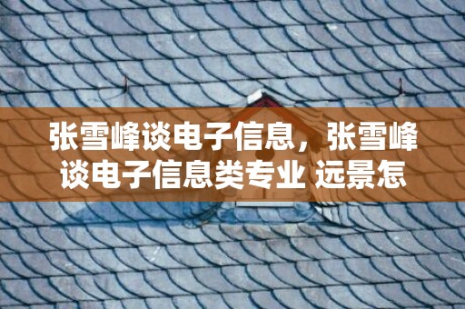 张雪峰谈电子信息，张雪峰谈电子信息类专业 远景怎么样