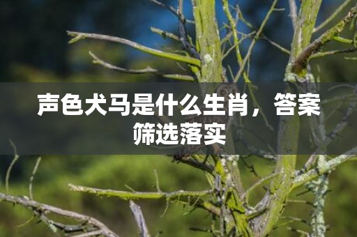 声色犬马是什么生肖，答案筛选落实