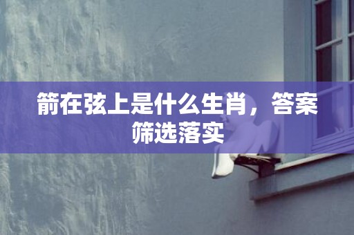 箭在弦上是什么生肖，答案筛选落实