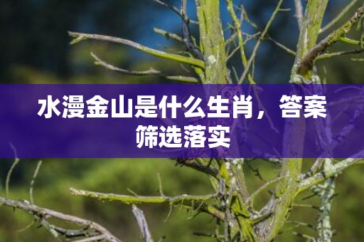 水漫金山是什么生肖，答案筛选落实