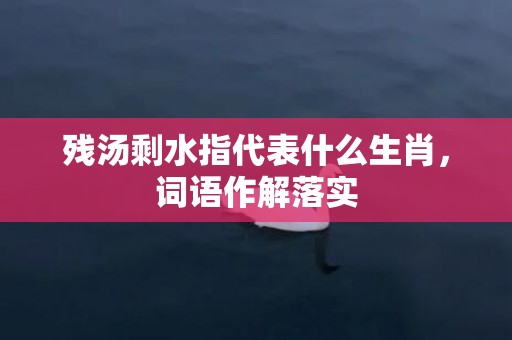 残汤剩水指代表什么生肖，词语作解落实
