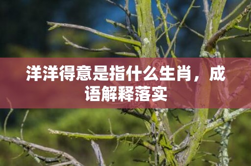 洋洋得意是指什么生肖，成语解释落实