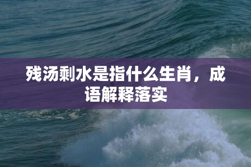 残汤剩水是指什么生肖，成语解释落实