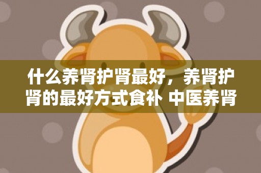 什么养肾护肾最好，养肾护肾的最好方式食补 中医养肾护肾的方式