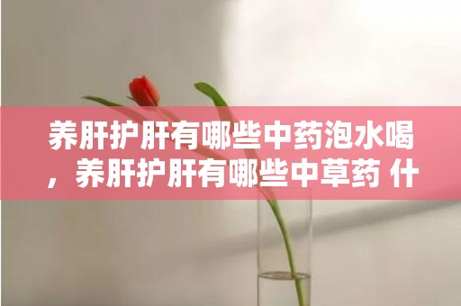 养肝护肝有哪些中药泡水喝，养肝护肝有哪些中草药 什么茶养肝护肝