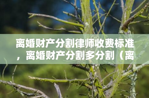 离婚财产分割律师收费标准，离婚财产分割多分割（离婚分多少财产）
