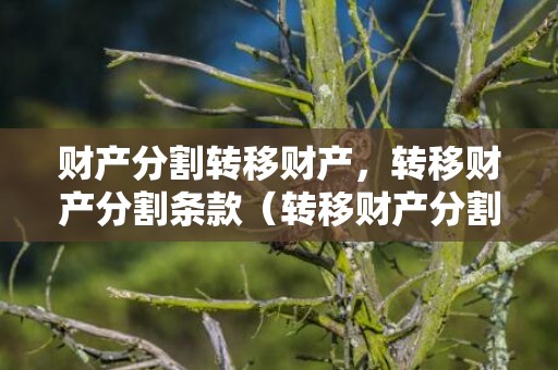 财产分割转移财产，转移财产分割条款（转移财产分割条款有哪些）