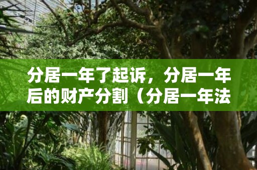 分居一年了起诉，分居一年后的财产分割（分居一年法院判离婚吗）