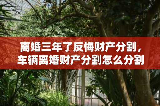 离婚三年了反悔财产分割，车辆离婚财产分割怎么分割（离婚车辆分割协议书怎么写）