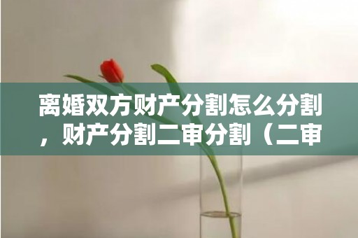 离婚双方财产分割怎么分割，财产分割二审分割（二审对财产分割不公平能上诉吗?）