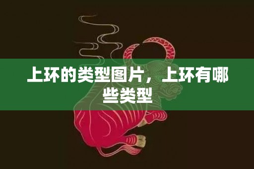 上环的类型图片，上环有哪些类型