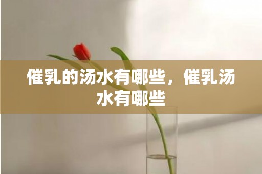 催乳的汤水有哪些，催乳汤水有哪些