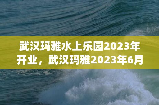 武汉玛雅水上乐园2023年开业，武汉玛雅2023年6月18日正式开园(附门票价格)