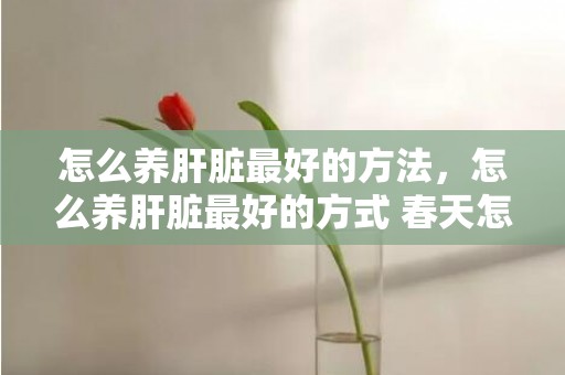 怎么养肝脏最好的方法，怎么养肝脏最好的方式 春天怎么养肝护肝