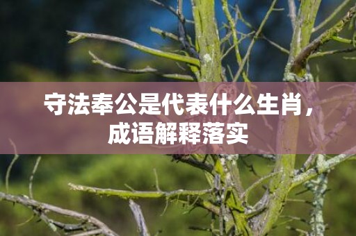 守法奉公是代表什么生肖，成语解释落实