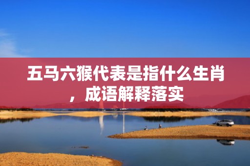 五马六猴代表是指什么生肖，成语解释落实