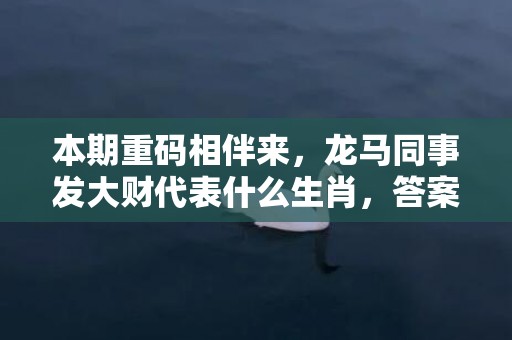 本期重码相伴来，龙马同事发大财代表什么生肖，答案曝光落实