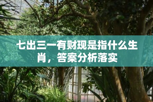 七出三一有财现是指什么生肖，答案分析落实