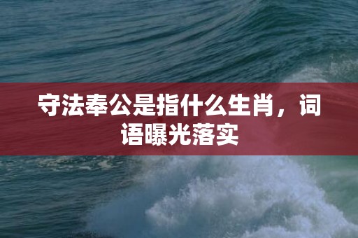 守法奉公是指什么生肖，词语曝光落实