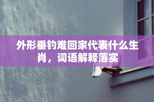 外形垂钓难回家代表什么生肖，词语解释落实
