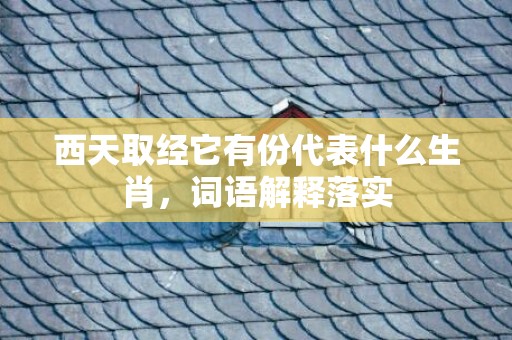 西天取经它有份代表什么生肖，词语解释落实