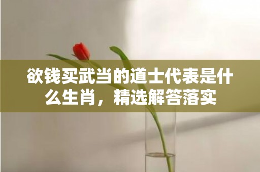 欲钱买武当的道士代表是什么生肖，精选解答落实
