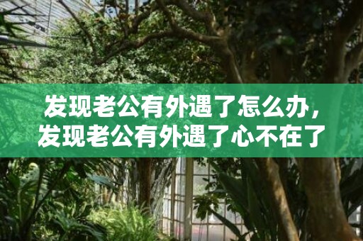 发现老公有外遇了怎么办，发现老公有外遇了心不在了还能挽回吗分析